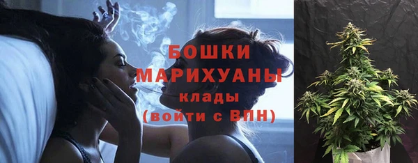 ALPHA PVP Елизово