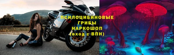ALPHA PVP Елизово