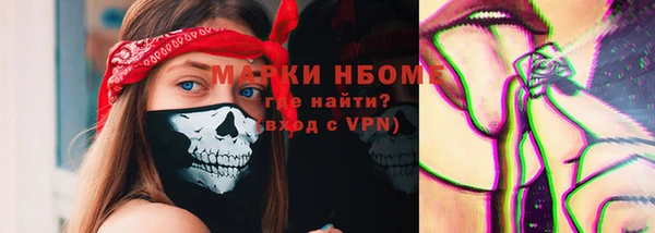 соль ск Елабуга