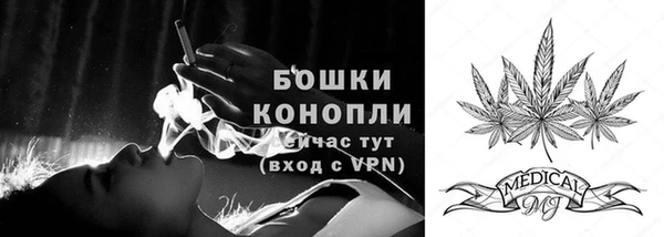 прущая мука Ельня