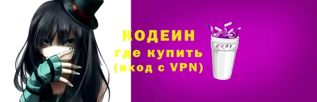 соль ск Елабуга
