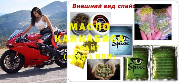 соль ск Елабуга