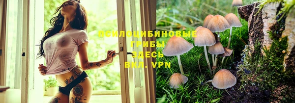 ALPHA PVP Елизово